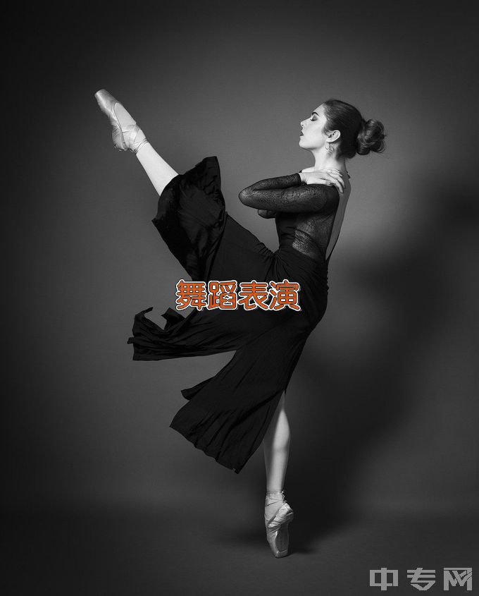 安徽黄梅戏艺术职业学院舞蹈表演