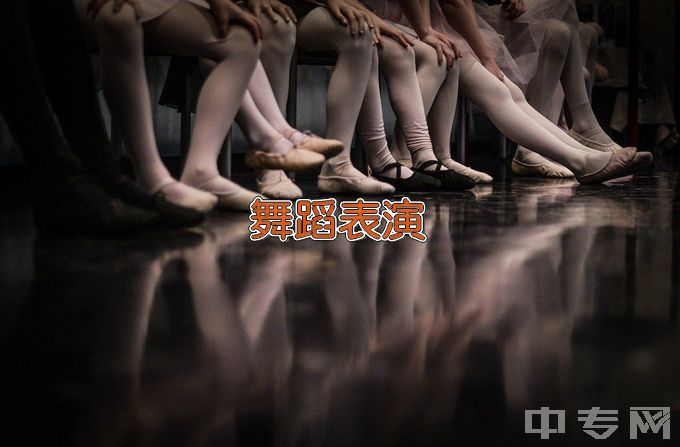 洞口县凤凰职业技术学校舞蹈表演