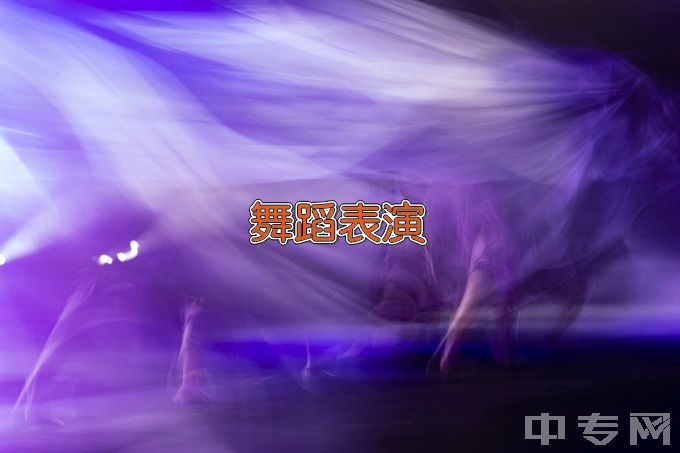 重庆机电职业技术大学舞蹈表演与编导