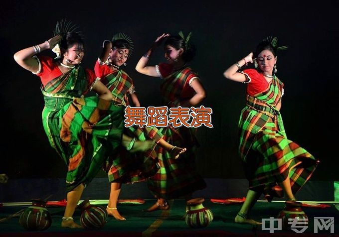 沧州师范学院舞蹈表演