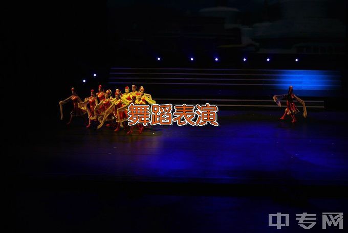 南京艺术学院舞蹈表演