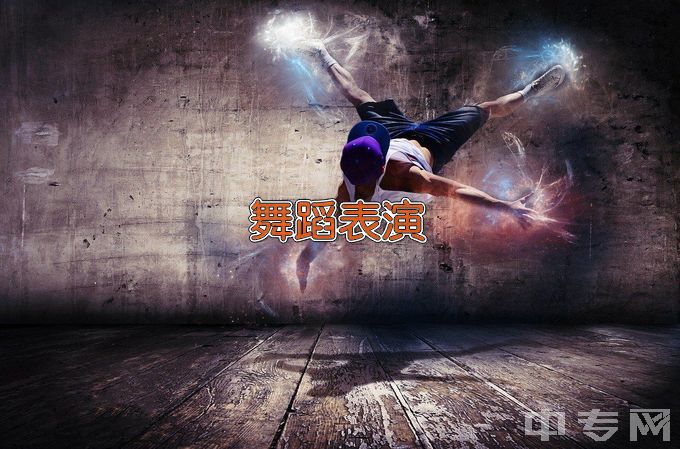 海南省歌舞团附属芭蕾舞蹈学校舞蹈表演