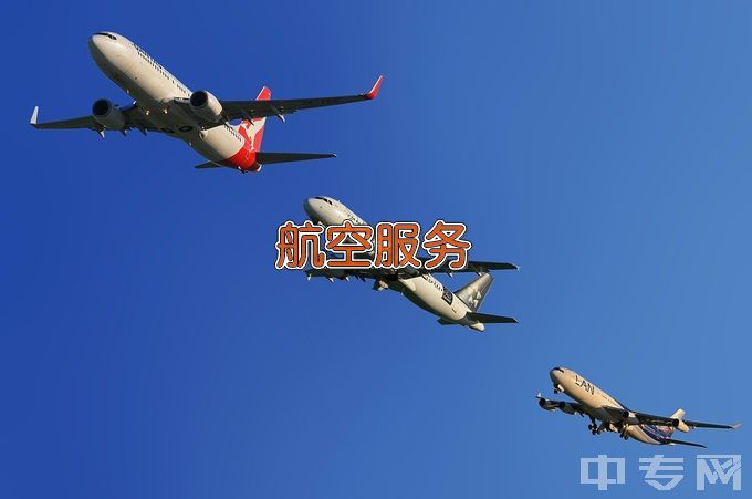 安阳县职业中等专业学校航空服务