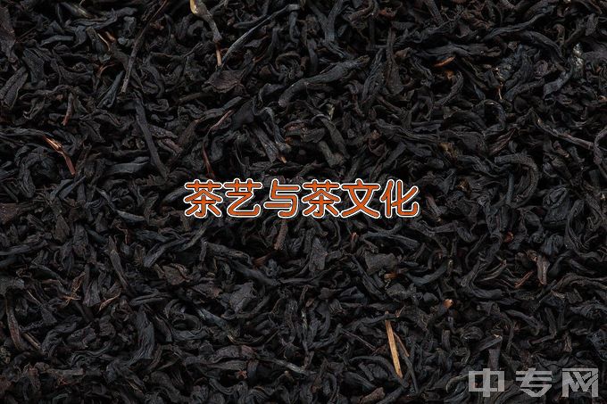 浙江经贸职业技术学院茶艺与茶文化