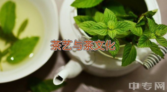 浙江经贸职业技术学院茶艺与茶文化