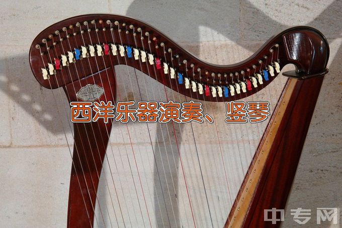 浙江音乐学院音乐表演（西洋乐器演奏、竖琴）