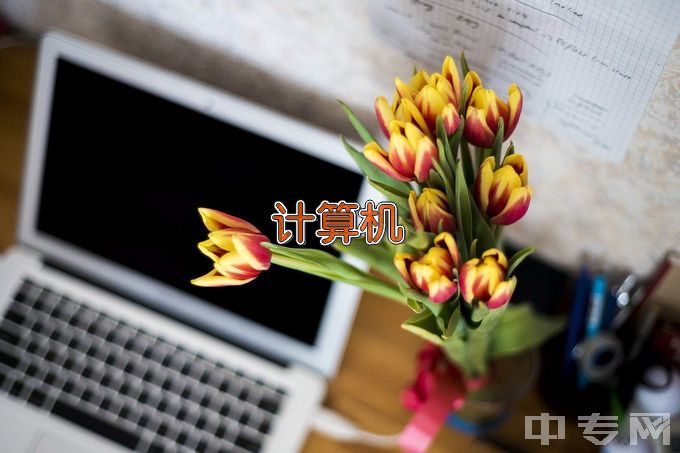 宁明县职业技术学校计算机应用