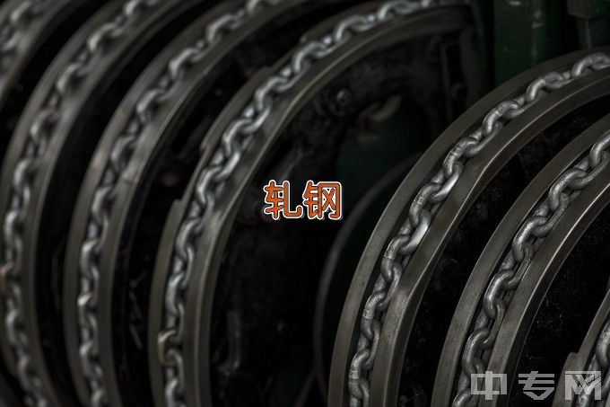 湘潭钢铁集团有限公司高级技工学校钢材轧制与表面处理