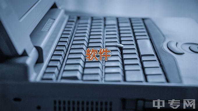 江苏电子信息职业学院软件技术