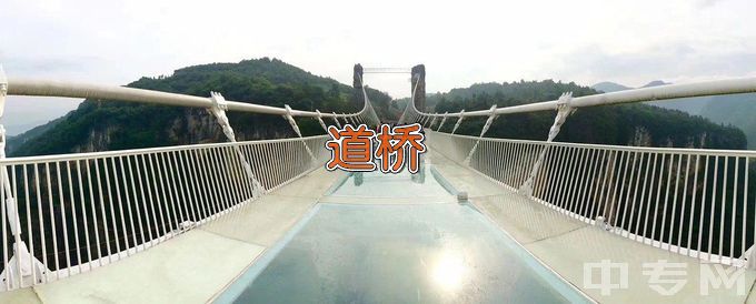 江苏城乡建设职业学院道路桥梁工程技术