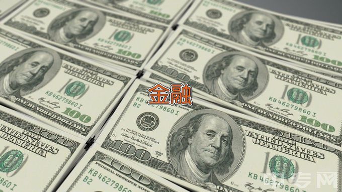 重庆工商大学派斯学院金融工程