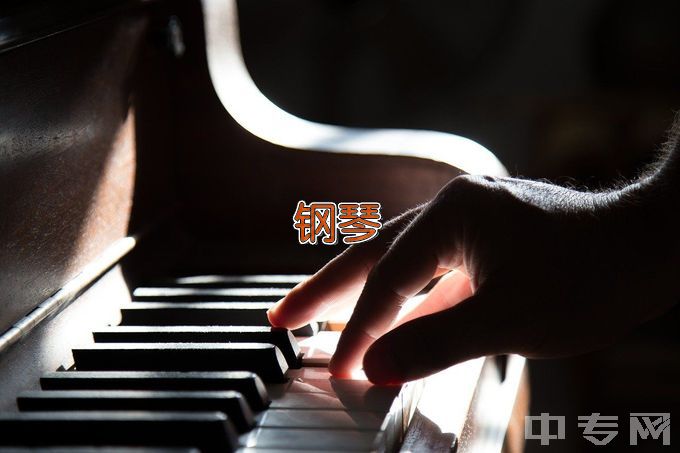 广东文艺职业学院钢琴调律