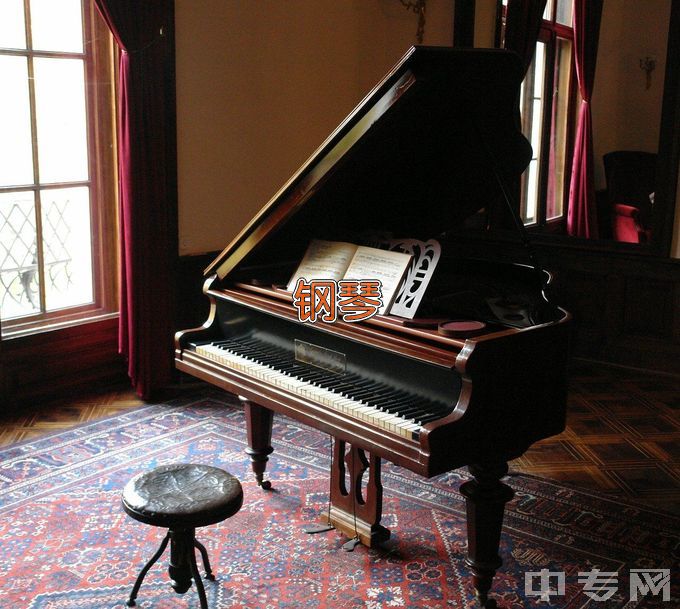 黑龙江幼儿师范高等专科学校钢琴调律