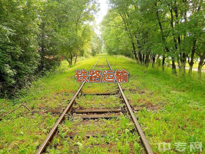 衡山县科技中等专业学校铁道运输服务