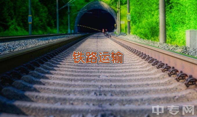 皖北经济技术学校铁道运输服务