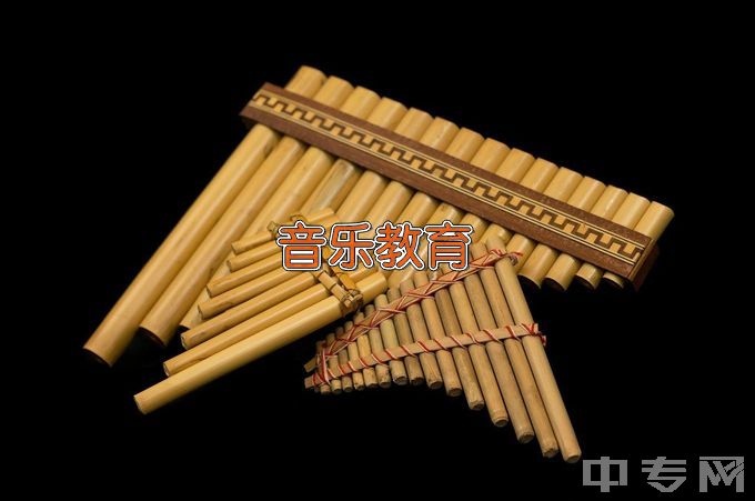 阳江职业技术学院音乐教育