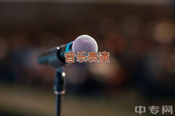 湖南大众传媒职业技术学院音乐表演