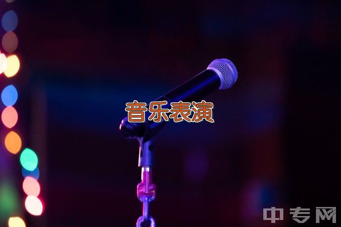 郑州信息科技职业学院音乐表演