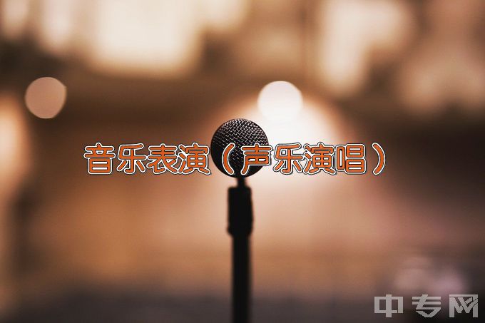 中国传媒大学音乐表演（声乐演唱方向）