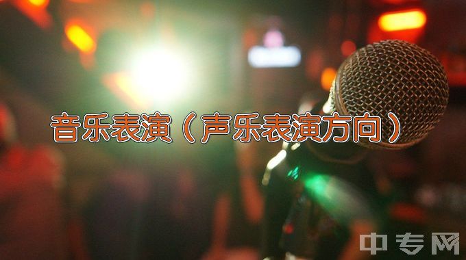 安徽艺术学院音乐表演（声乐表演方向）