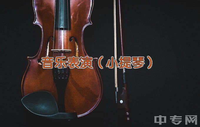 天津音乐学院音乐表演（小提琴）
