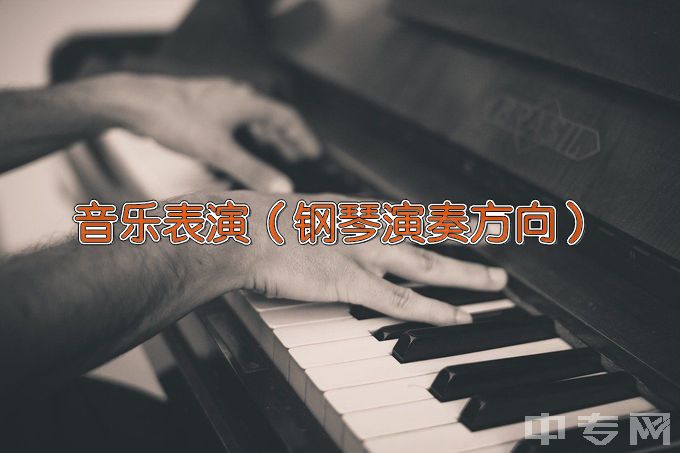 湖北艺术职业学院音乐表演（钢琴演奏方向）