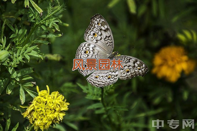 西昌学院风景园林