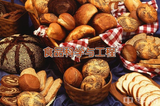 河南科技学院食品科学与工程