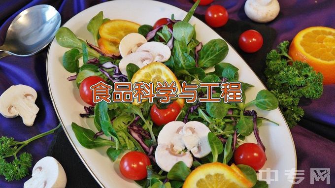 郑州轻工业大学食品科学与工程