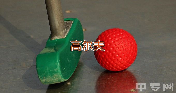 辽阳职业技术学院高尔夫运动技术与管理