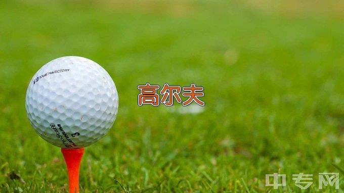 湖南高尔夫旅游职业学院高尔夫运动技术与管理