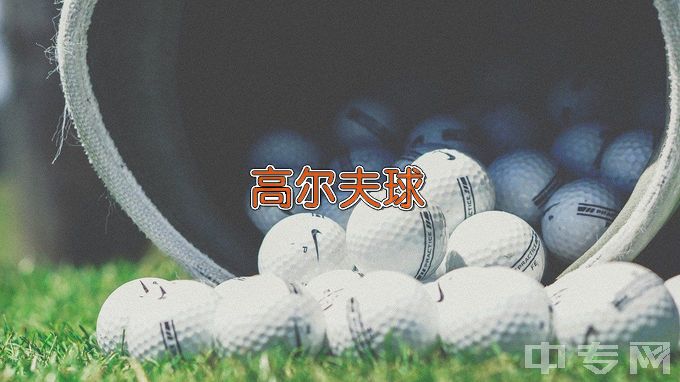 辽宁职业学院高尔夫球运动与管理